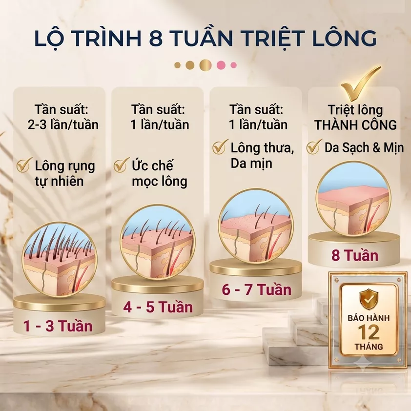 Máy triệt lông 4 trong 1 BAMIKO